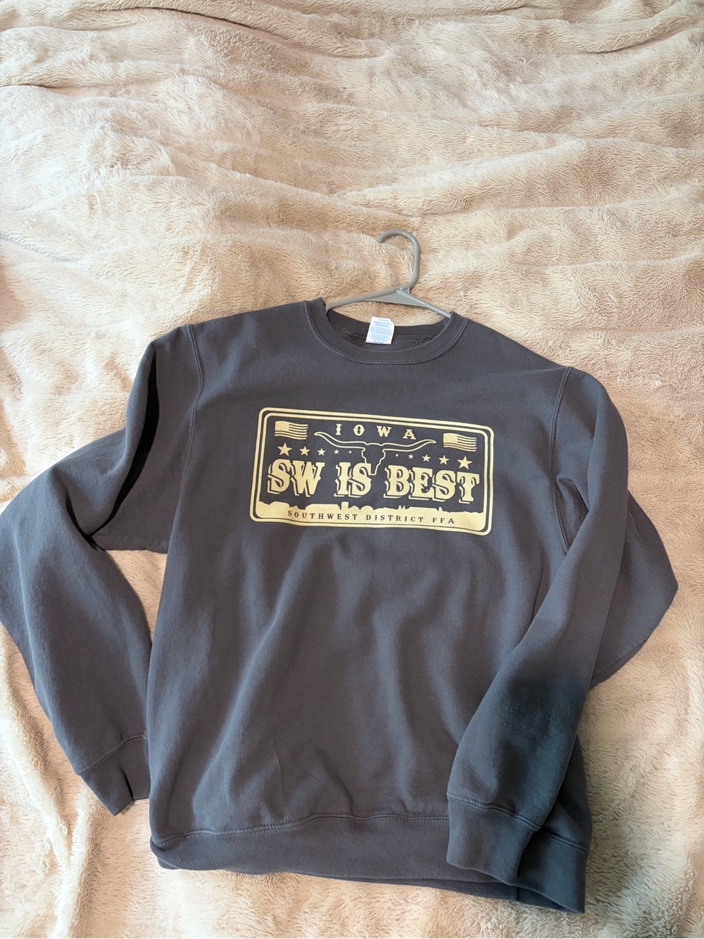 Iowa 'SW IS BEST' Gray Crewneck Sweatshirt